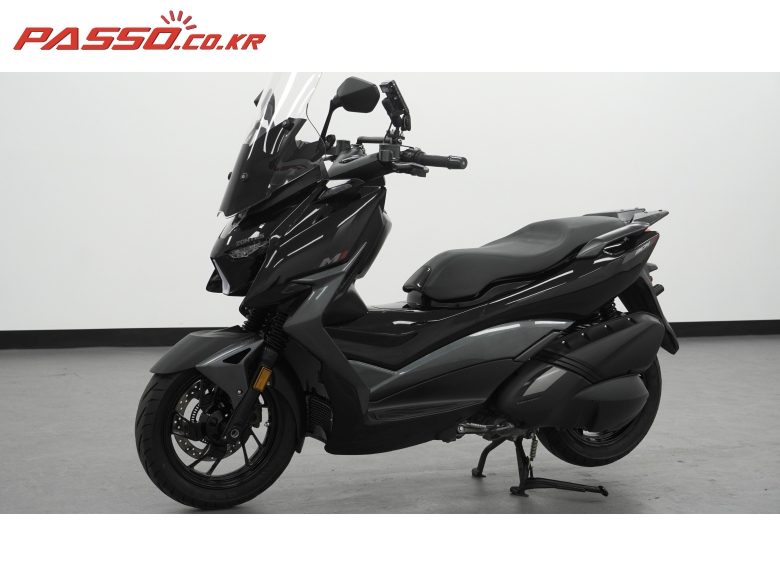 2025 존테스 310 M 사진 11