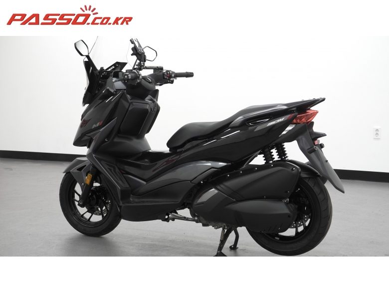 2025 존테스 310 M 사진 12