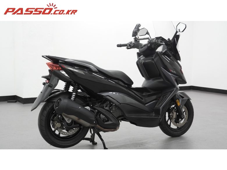 2025 존테스 310 M 사진 13