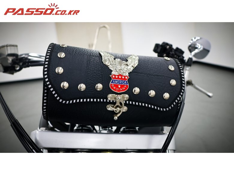 2010 혼다 VT 1300 CR 사진 13