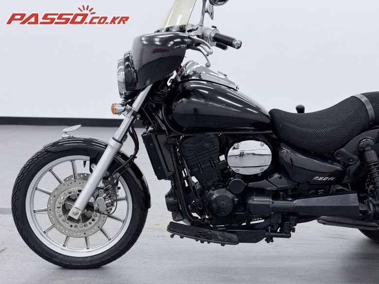 2014 DNA모터스/대림 데이스타 250 사진 8